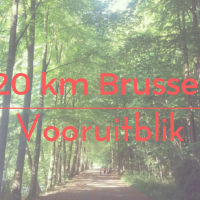 20 km Brussel - vooruitblik